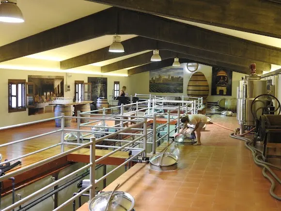 Bodega Cosecheros de Olite - Tafalla