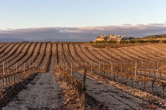Bodegas ALCONDE - Calahorra