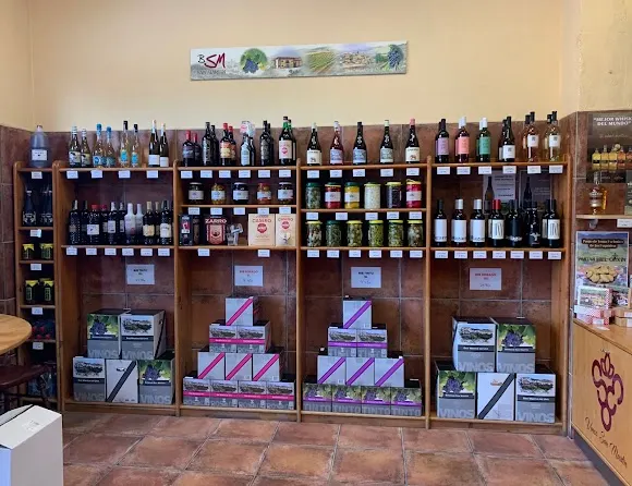 Vinos San Martín