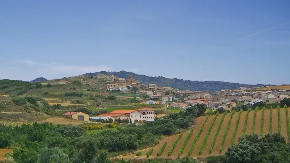 Bodegas Beramendi S.L.