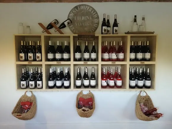 Bodega de Liédena - Pamplona