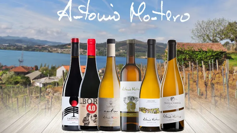 Bodegas Fernández & Macías S.L. - Ourense