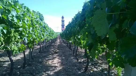 Bodegas Gómez Sanmartin