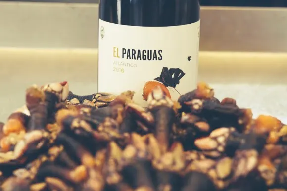 Bodegas El Paraguas