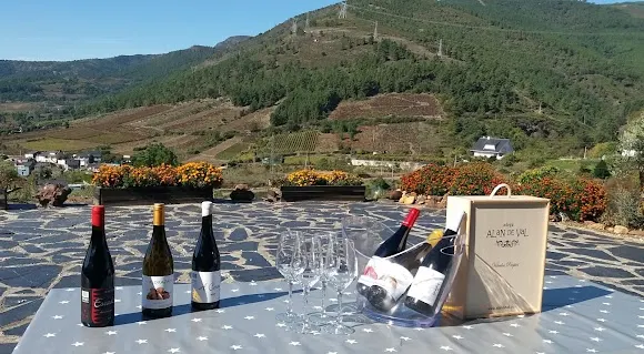 Bodega Alan de Val
