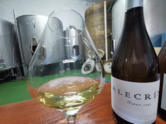 Adega Alecrín
