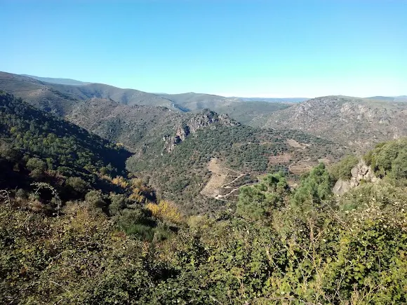 Viña Costeira Valdeorras