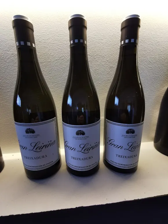 Bodegas O`Ventosela