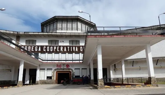 Bodega Cooperativa Virgen de las Viñas