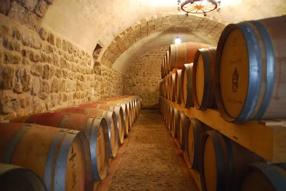Bodegas y Viñedos Alfredo Santamaría - Valladolid