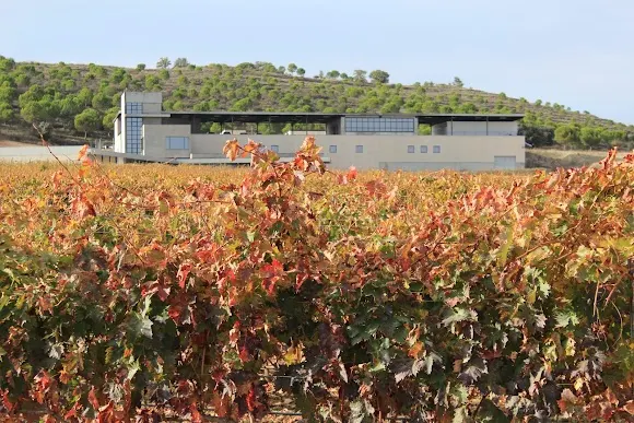 Entrada-Camino Aalto Bodegas y Viñedos - Valladolid
