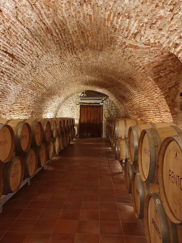Bodega Rento - Valladolid