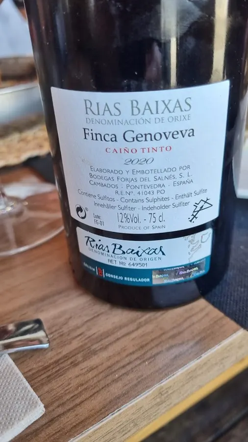 Bodega Forjas del Salnes - Vilagarcía de Arousa