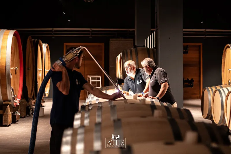 Attis Bodegas Y Viñedos SL - Bodega en Meano - foto 2