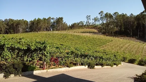 Adega Ruben - Ponteareas
