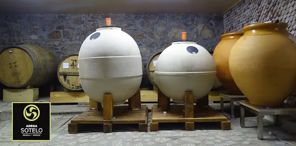 La bodega de Constantina Sotelo - Vilagarcía de Arousa