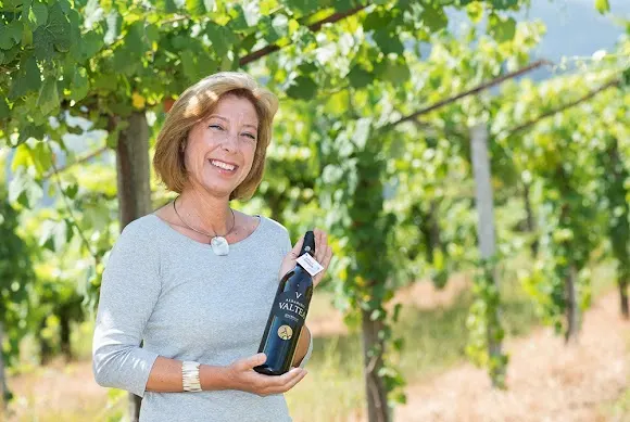 Valtea Albariño D.O. Rías Baixas - Ponteareas