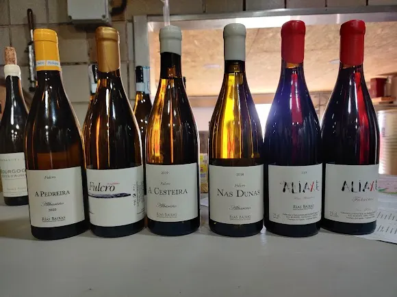 Bodega Adega Fulcro - Marín