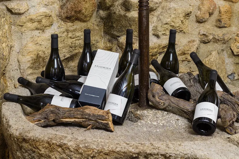 Bodega Anadigna - Bodega en Meano - foto 2