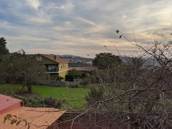 Bodegas Soto - Vigo