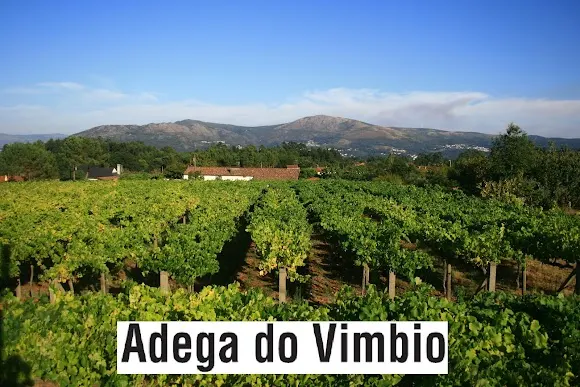 Adega do Vimbio S.L.