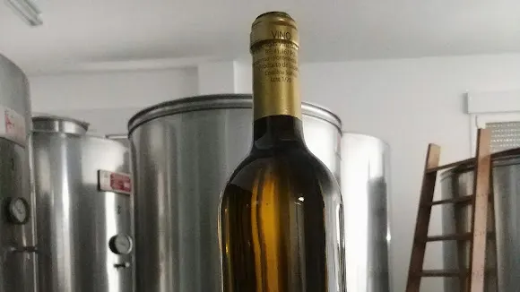 Bodegas viña da codeseira SL - Vilagarcía de Arousa