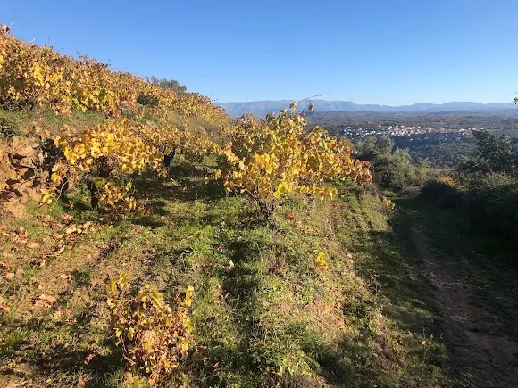 Cámbrico - Béjar