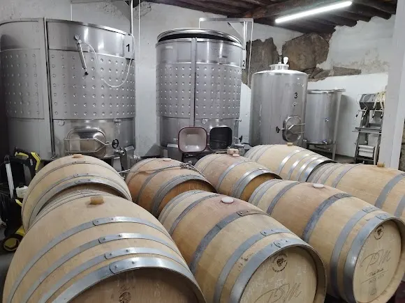 Bodega Vínculo Serrano - Béjar