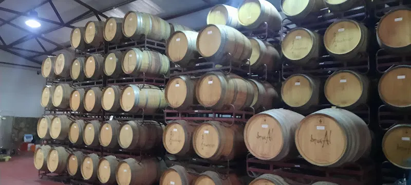 Bodegas Ribera de Pelazas S.L. - Salamanca