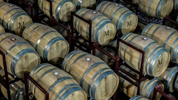 BODEGA VIÑAGUAREÑA - Toro