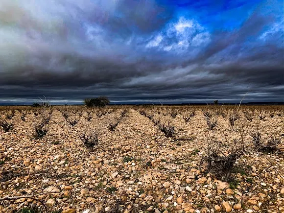 Bodegas Mazas - Toro