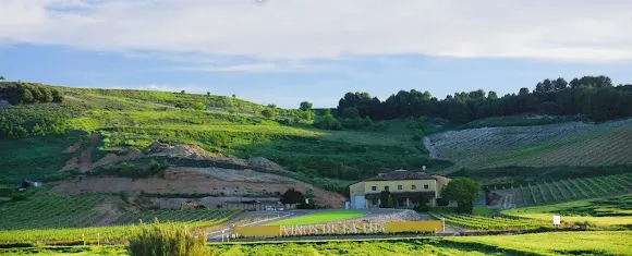 Vinos de La Luz - Cuéllar