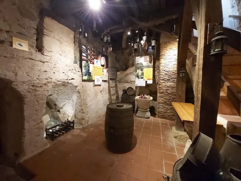 Centro Gastronómico - Segovia Is Wine - Vinoteca en Segovia - foto 2