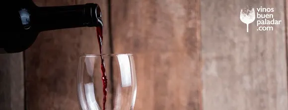 Vinos Buen Paladar - Cuéllar