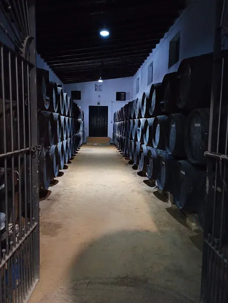 Bodegas Patacabra - Bodega en Espartinas - foto 2