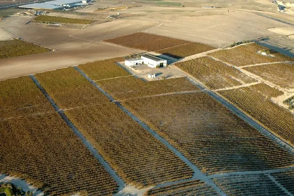 Bodegas Gonzalez palacios (viñedos y Bodega Overo) - Trebujena