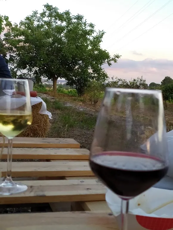 Bodega Mas Bella - Valls