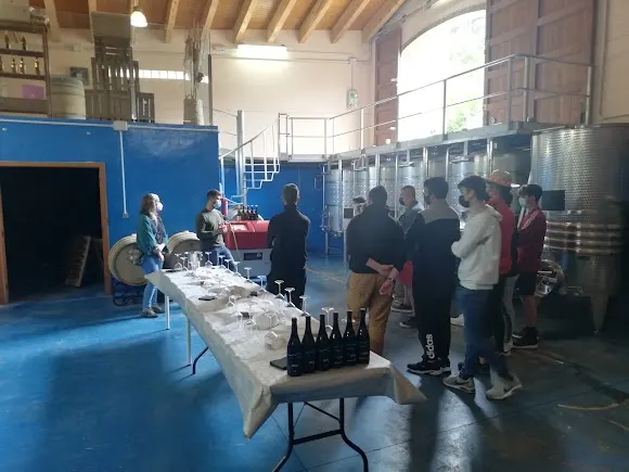 Celler Viamà - Tortosa