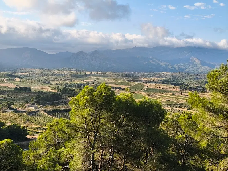 Bodega Serra de Cavalls - Tortosa