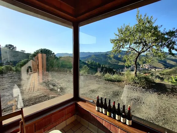 Celler Familia Nin Ortiz - Bodega en Mont-roig del Camp