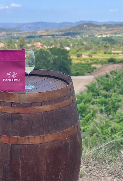 Mas Blanc, Pinord - Bodega en Mont-roig del Camp - foto 3