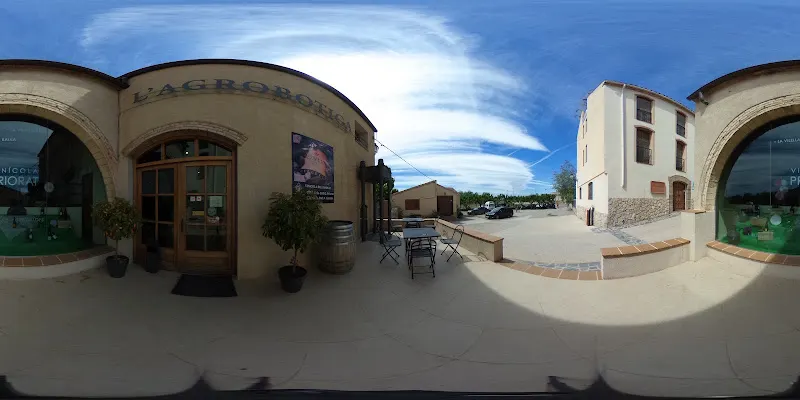 Vinícola del Priorat - Bodega en Mont-roig del Camp - foto 2