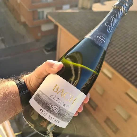 Bodegas J M Bach i fills S L