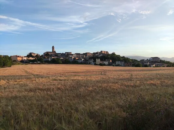 CARLANIA CELLER - Valls