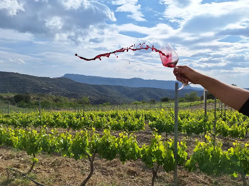 Celler Vilalta Pere - Bodega en Vilanova de Prades - foto 2