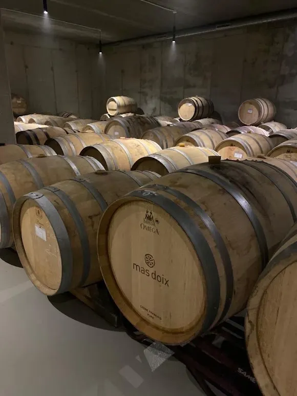 Celler Mas Doix - Reus