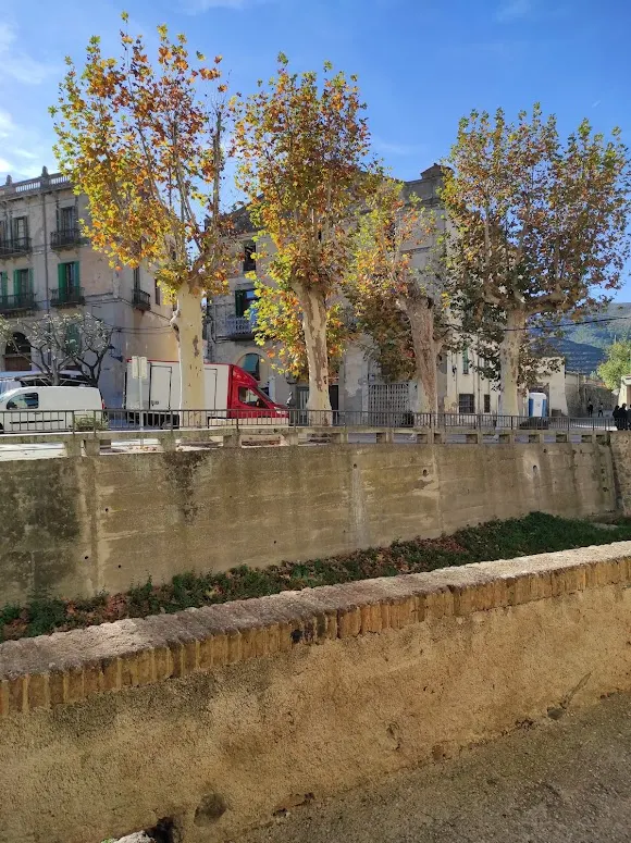 Celler Joan Simó