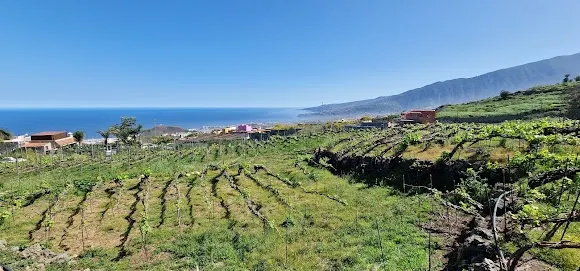 Bodega La Haya