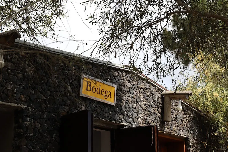 Bodegas Ferrera - Bodega en Arafo - foto 2