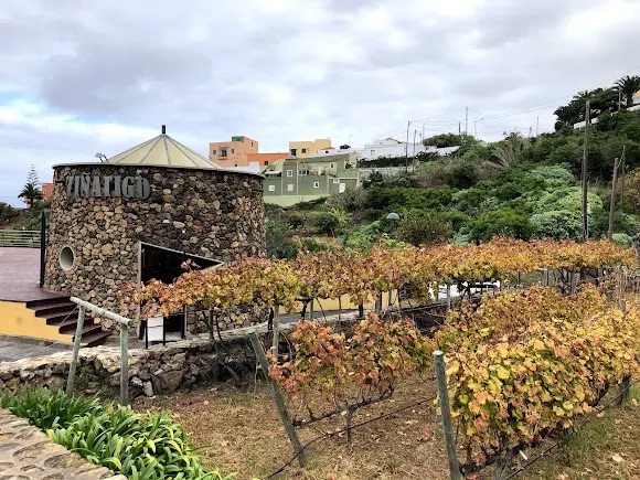 Bodegas Viñátigo